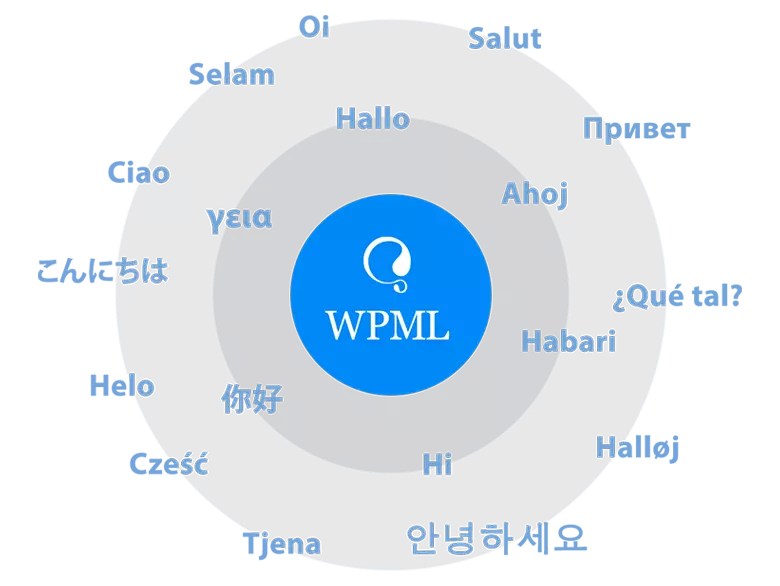 Built-in translator & WPML ready